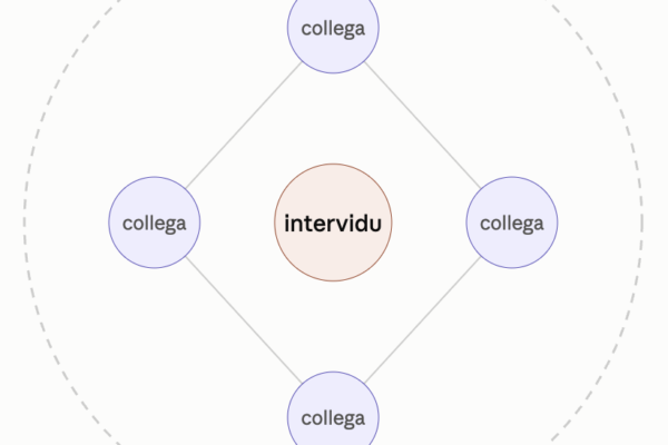 De innovatie architect als intervidu