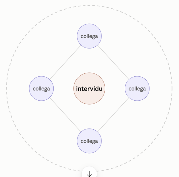 De innovatie architect als intervidu